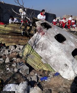 Katastrofa ukraińskiego samolotu. Próba odczytania czarnych skrzynek