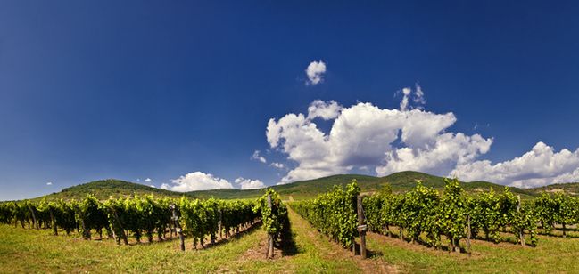 Tokaj - najpiękniejsze miasteczko w Europie