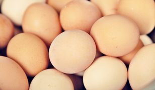 Rezygnacja z jaj z chowu klatkowego podjęta zbyt pochopnie? Tak wskazuje analiza