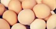 Rezygnacja z jaj z chowu klatkowego podjęta zbyt pochopnie? Tak wskazuje analiza