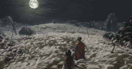 Czy Sekiro to soulslike? (Runda druga!)