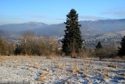 Prognoza pogody na dziś - 17 listopada. Coraz chłodniej. Może spaść pierwszy śnieg