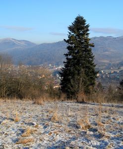 Prognoza pogody na dziś - 17 listopada. Coraz chłodniej. Może spaść pierwszy śnieg