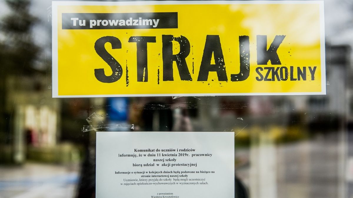 ZNP: "Nauczyciele popierają protest".