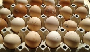 Prawidłowe przechowywanie jajek. Lodówka to dobry pomysł