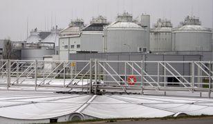 Warszawa. Awaria oczyszczalni ścieków "Czajka". Ekspert alarmuje