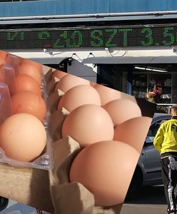 Idzie Wielkanoc - ruszyły promocje na jajka. Pytanie: warto?