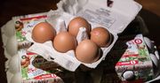 Jakość jaj. Nieprawidłowości w przypadku co piątego opakowania
