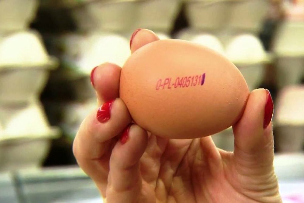 Kupując jajka, warto sprawdzić oznaczenie kodu