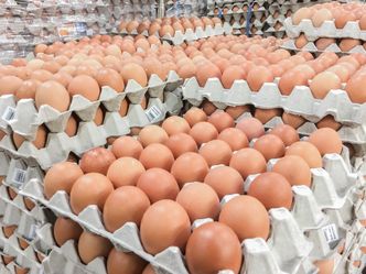 Polskie jajka wrócą na Bliski Wschód. Emiraty Arabskie znoszą zakaz