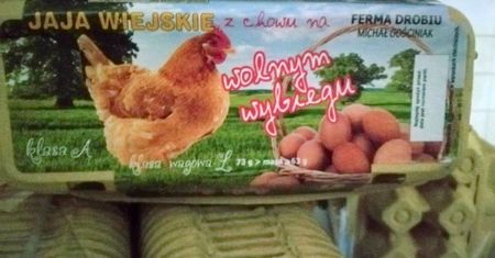 Sanepid wycofuje ze sprzedaży jajka skażone salmonellą. Sprawdź numery partii