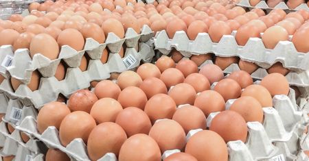 Polskie jajka wrócą na Bliski Wschód. Emiraty Arabskie znoszą zakaz