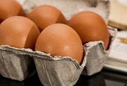 Jajo kurze – wartości odżywcze, sposoby podania, kategoryzacja, przepisy