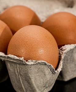 Jajo kurze – wartości odżywcze, sposoby podania, kategoryzacja, przepisy