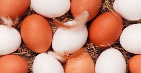 Podwyżka cen. Mocno zdrożeją jajka