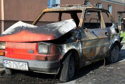 To koniec PO w Poznaniu