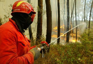 Ponad 2700 strażaków gasi pożary w Portugalii