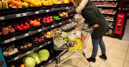Dieta warzywno-owocowa. Przepisy dr Dąbrowskiej, które pomogą Ci się oczyścić