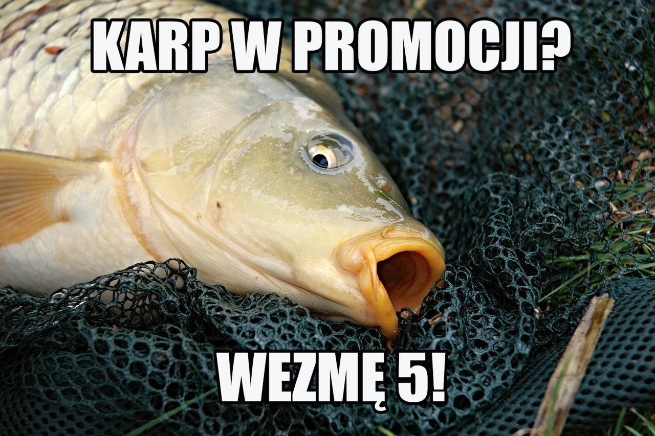 W więc wpadliście!