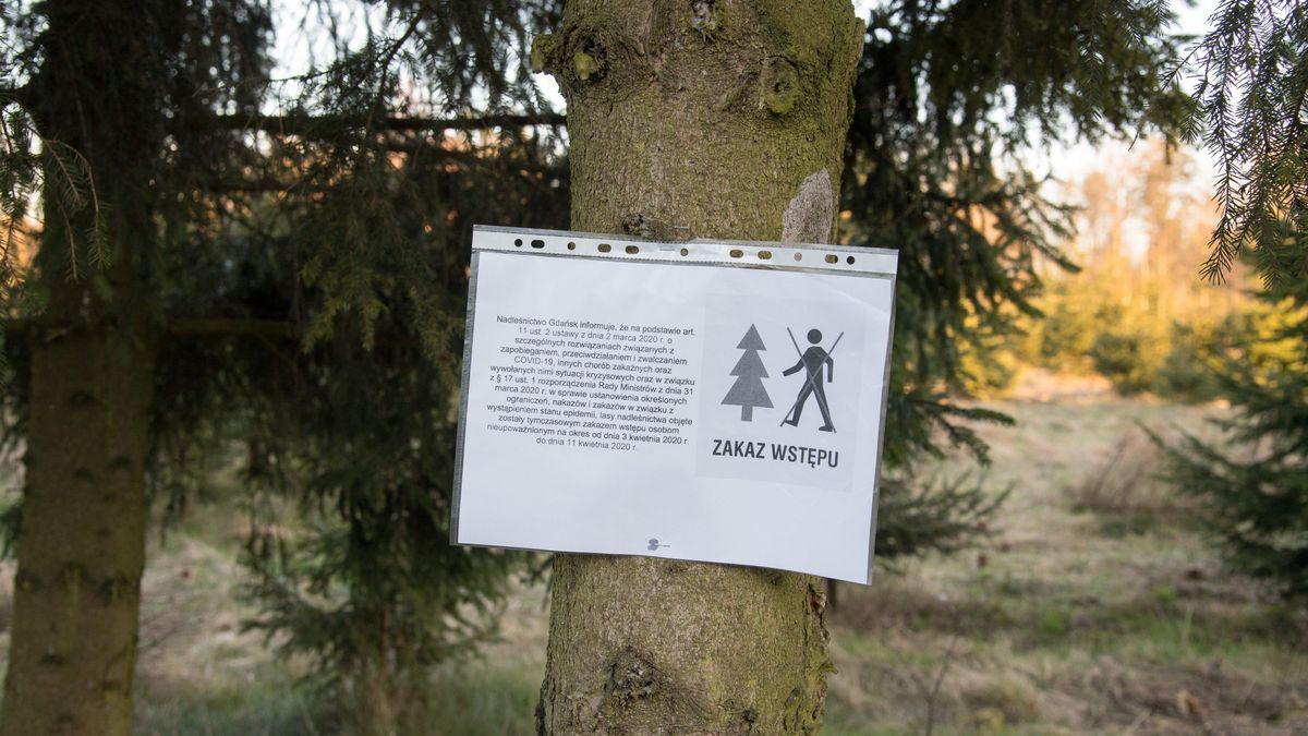 RPO domaga się zniesienia zakazu wstępu do lasów