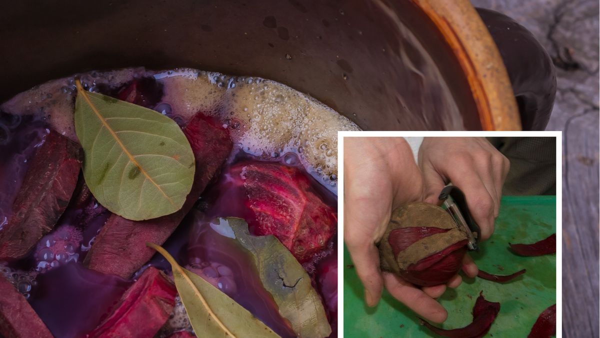 Zakwas z buraków - Pyszności; Foto Canva.com