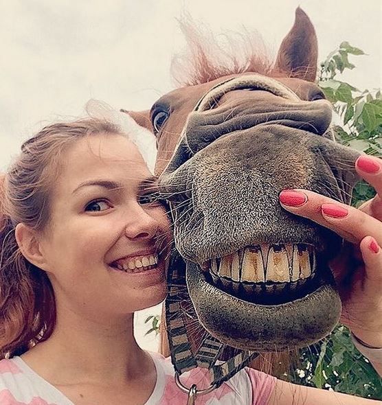 simi_horsetastic/insta