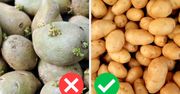 Czy można jeść ziemniaki, które puściły pędy? Dietetyk rozwiewa wszelkie wątpliwości