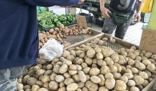 Ceny ziemniaków wystrzeliły. Rolnicy przekonują: to zmowa cenowa