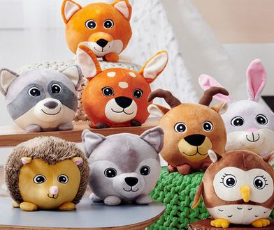 Biedronka wbija szpilę Lidlowi. Oto odpowiedź na nową akcję niemieckiego dyskontu