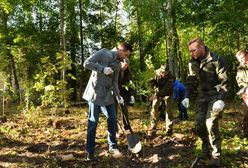 Jaki sadzi drzewa w Lesie Bemowskim. "Chcemy posadzić 21 dębów"