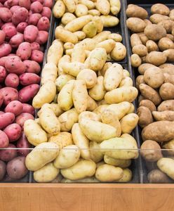 Przygotuj się do zimy. Jak wybierać i przechowywać ziemniaki