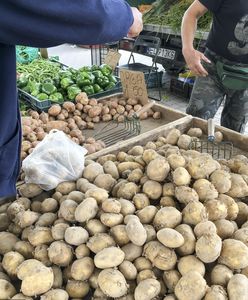 Ceny ziemniaków wystrzeliły. Rolnicy przekonują: to zmowa cenowa