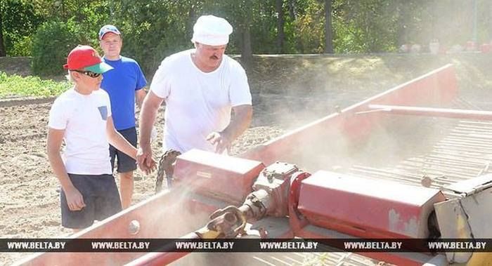 Prezydent Białorusi na wykopkach