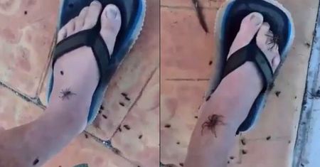 Ludojad na drodze to nic. Widok po burzy jak z horroru