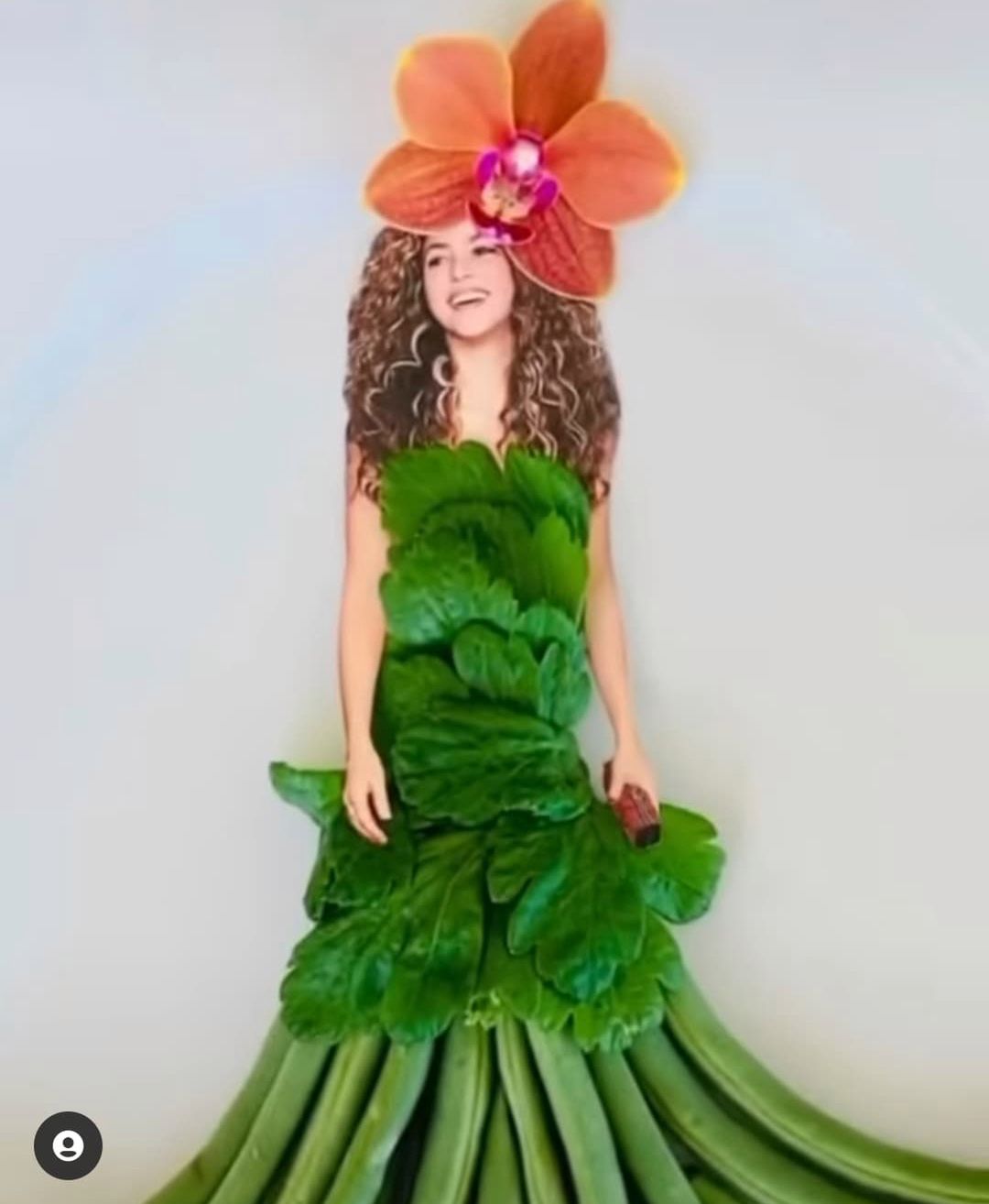 Shakira w sukni z warzyw