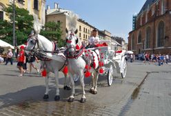 Kraków. Pogoda na dziś. Czy w czwartek będzie padał deszcz?