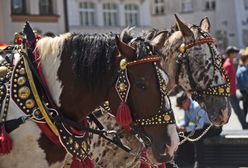 Potężny upał w Krakowie. Zakazano wjazdu dorożek na rynek