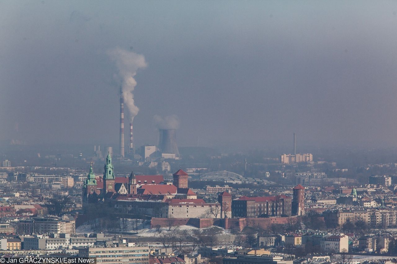 Lepsze powietrze, to dłuższe życie. Dowodem na to są Czesi