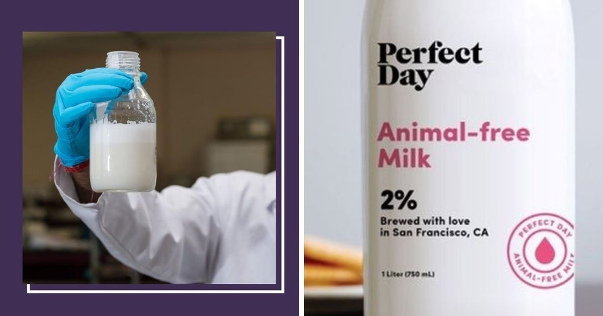 Amerykańska firma stworzyła prawdziwe mleko bez krów. Jak to możliwe?