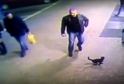 Kopnął kota, wyleciał ze służby. Błyskawiczna reakcja na głupotę