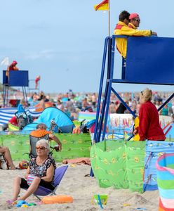 "Piwo, paluszki, kukurydzaaa!" Na plaży można zarobić ponad 200 zł dziennie