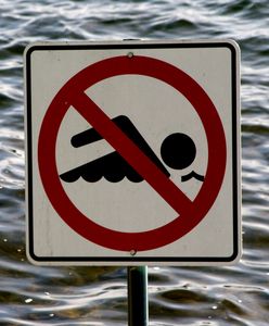 Sinice w Bałtyku? Nim zaplanujesz wyjazd nad morze, sprawdź, co wpływa na rozwój sinic, przez które w zeszłym roku zamknięto polskie plaże