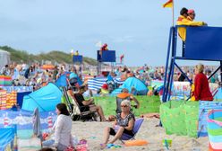 "Piwo, paluszki, kukurydzaaa!" Na plaży można zarobić ponad 200 zł dziennie