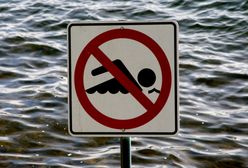 Sinice w Bałtyku? Nim zaplanujesz wyjazd nad morze, sprawdź, co wpływa na rozwój sinic, przez które w zeszłym roku zamknięto polskie plaże