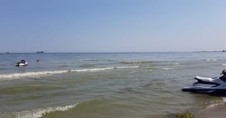 Sinice nad Bałtykiem 2019. Sprawdź, które plaże są zamknięte w piątek, 26 lipca i po czym możemy rozpoznać zakwit sinic