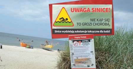 Sinice w Bałtyku. Zamknięto kilkanaście kąpielisk nad polskim morzem