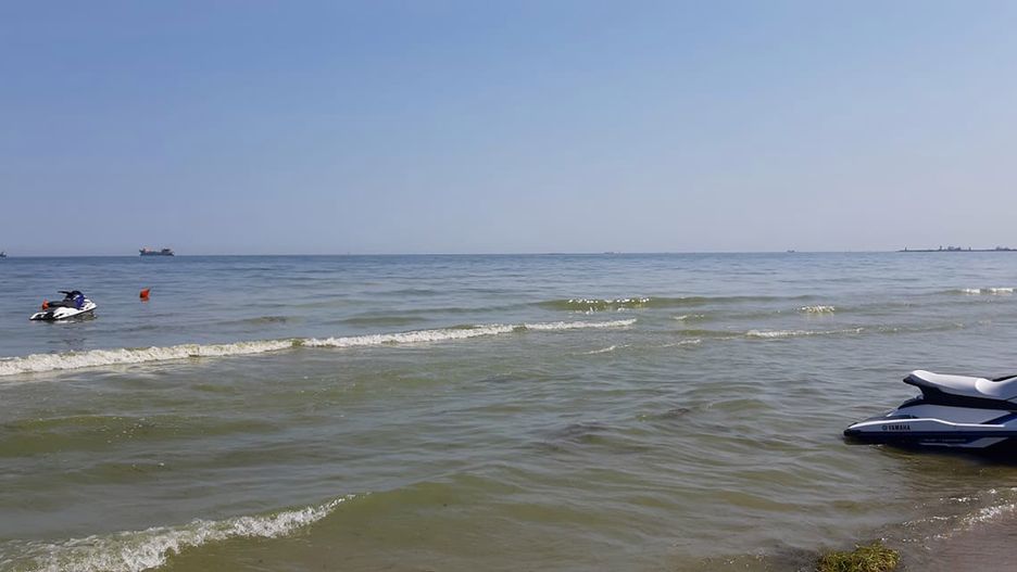 Sinice nad Bałtykiem 2019. Sprawdź, które plaże są zamknięte w piątek, 26 lipca i po czym możemy rozpoznać zakwit sinic