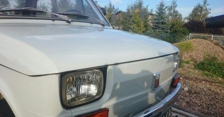 Maluch za 100 tysięcy złotych