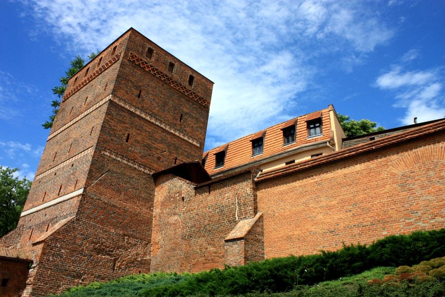 Obraz