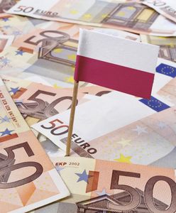 Perspektywy dla euro coraz jaśniejsze. Złoty lekko traci